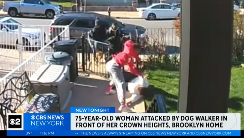 dog walker attack
